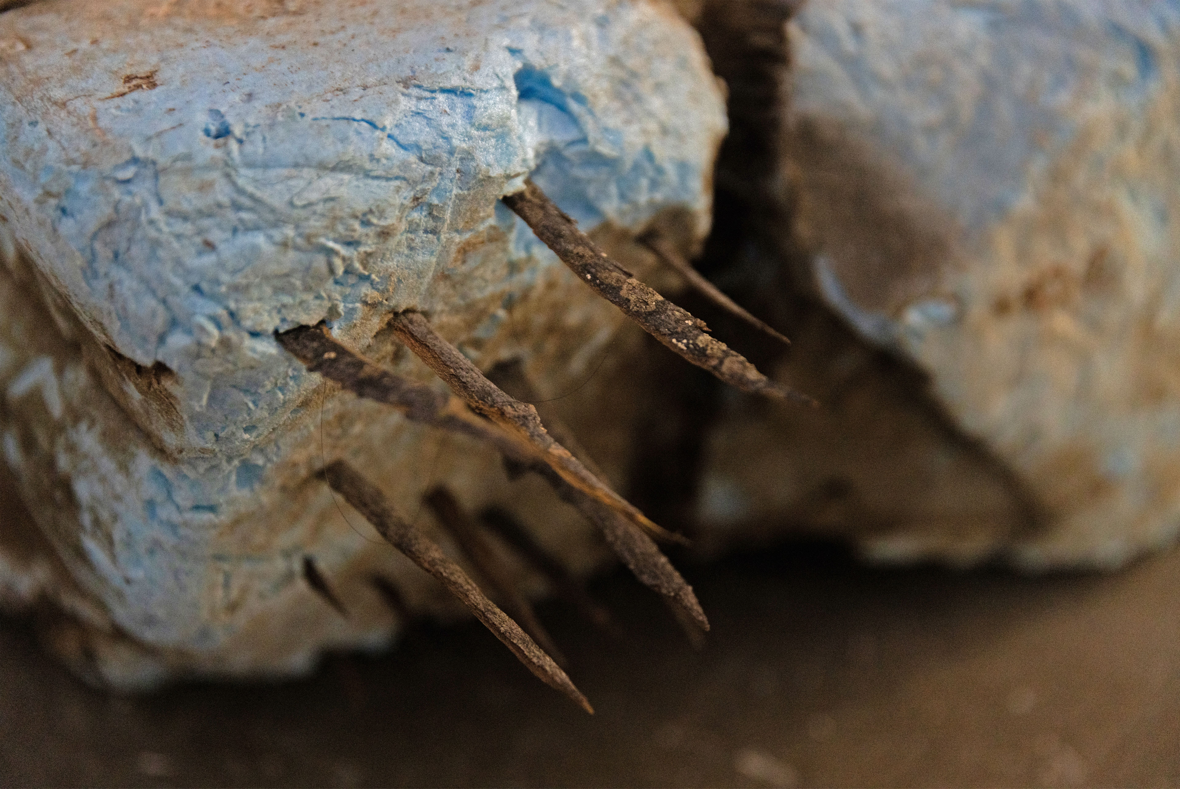 Projet de recherche pour les RIMA 2025