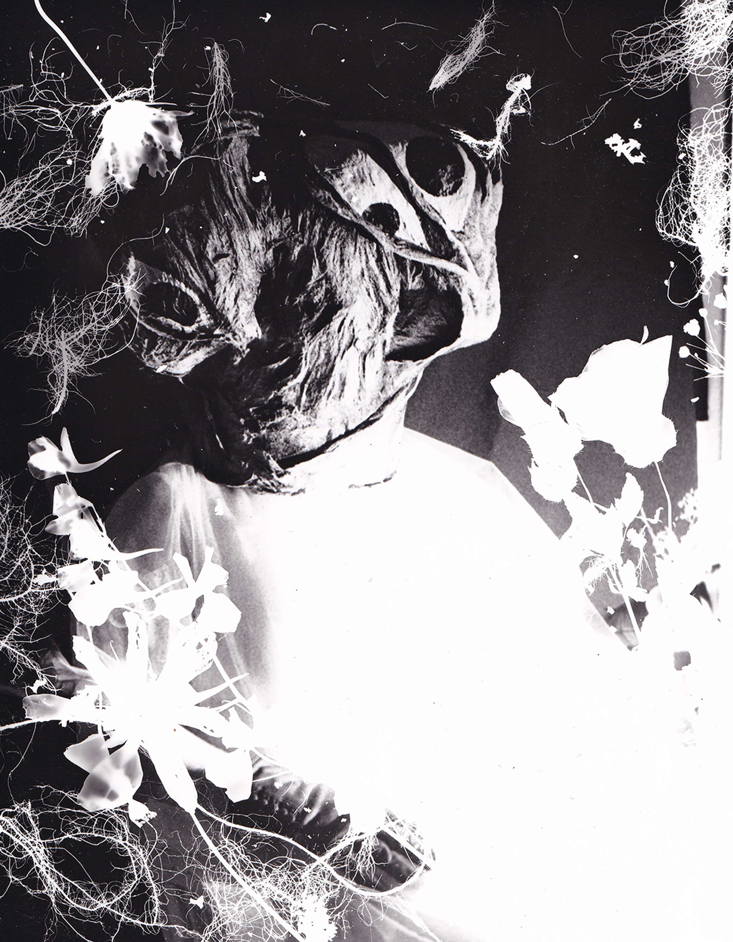 Projet de recherche pour les RIMA 2025